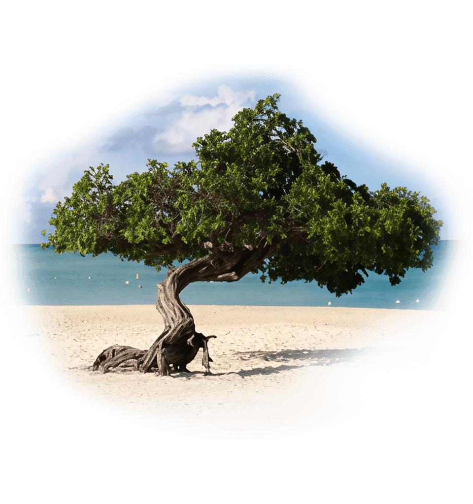 The Boolchand Group opens operations in Aruba, expanding to 6 stores over the course of 20 years